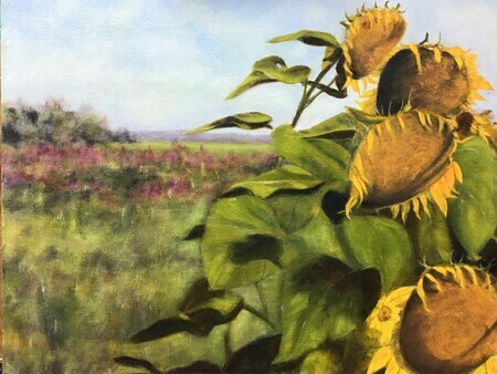 Late Sunflowers